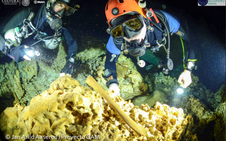 Researchers Make Amazing Underwater Discovery