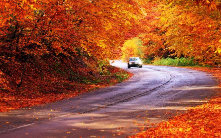 5 Places to See Fall Foliage in the US