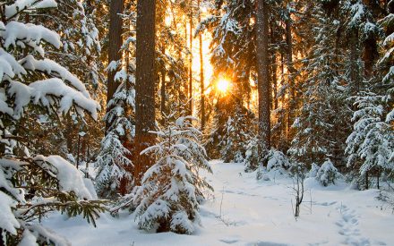 Must-see Photogenic Winter Getaways