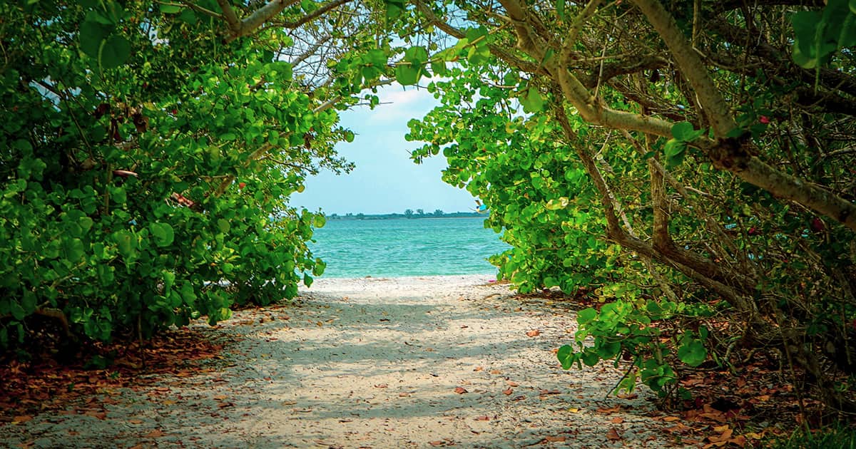 The top destinations to bring your grandkids for spring break.