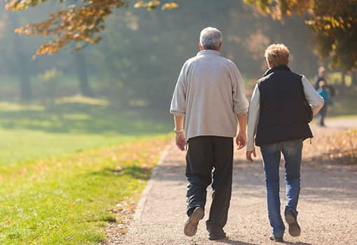 Two senior couples walking on a path on a sunny fall day.