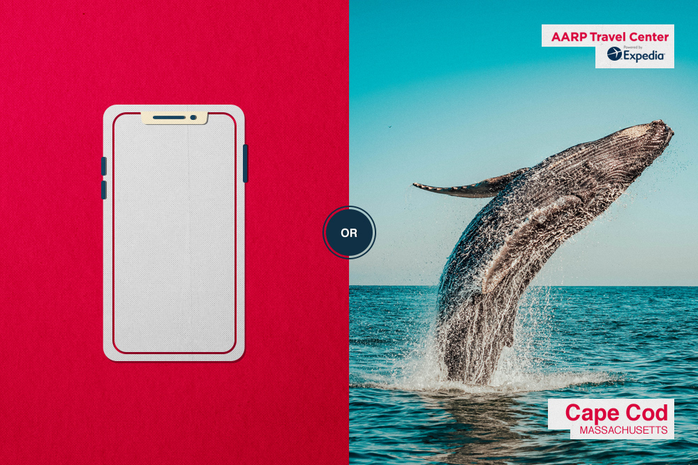 smart phone/whale watching
