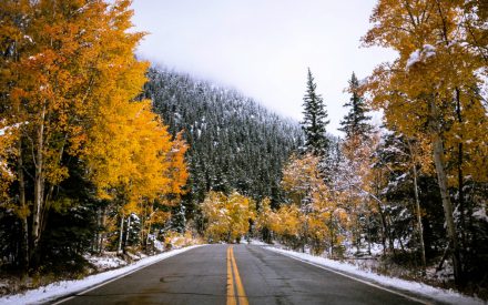 How to Drive Safely in the Snow and Other Winter Driving Tips