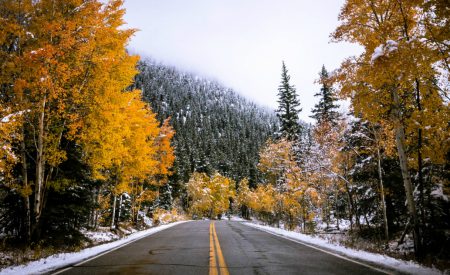 How to Drive Safely in the Snow and Other Winter Driving Tips
