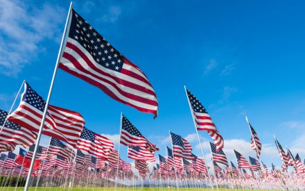 How to Celebrate Memorial Day Virtually