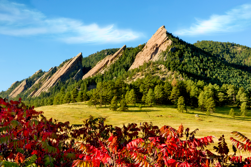 Rocky Mountain Scenic Flatirons with Fall Foliage Sumac