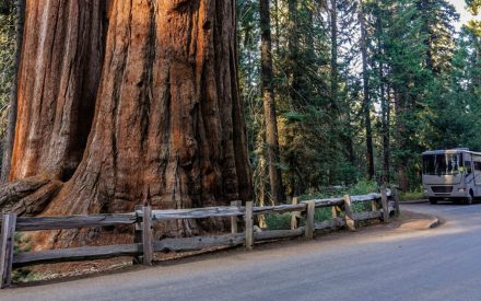 Top RV Destinations for Fall