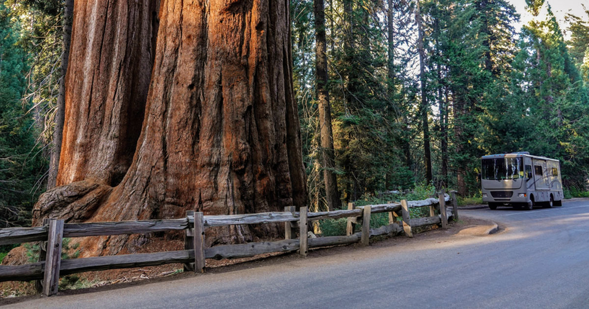 RV Near Giant Sequoia in California