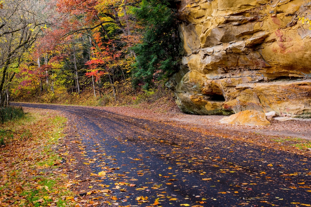 Autumn Road in Hocking County, Ohio