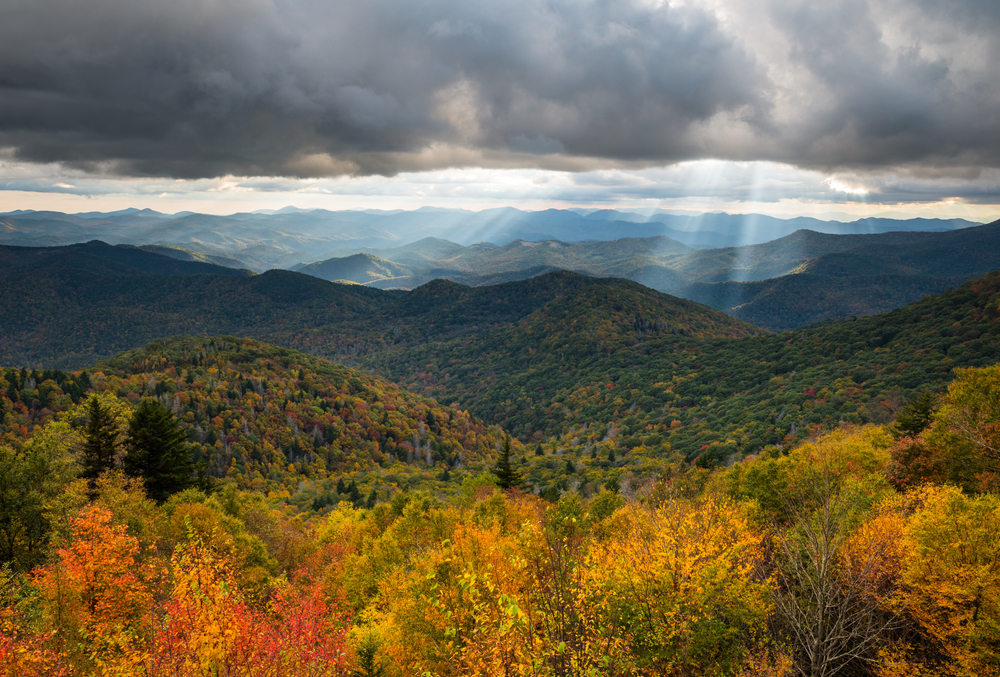 Mountain landscape features fall foliage on the parkway near Asheville, North Carolina